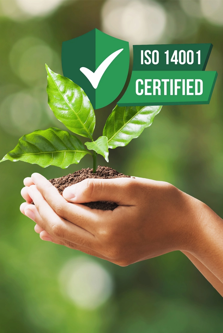 Gestión ambiental certificada